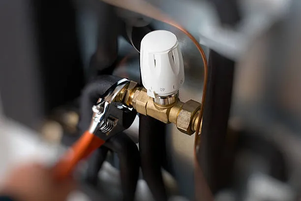 Professional power flush service